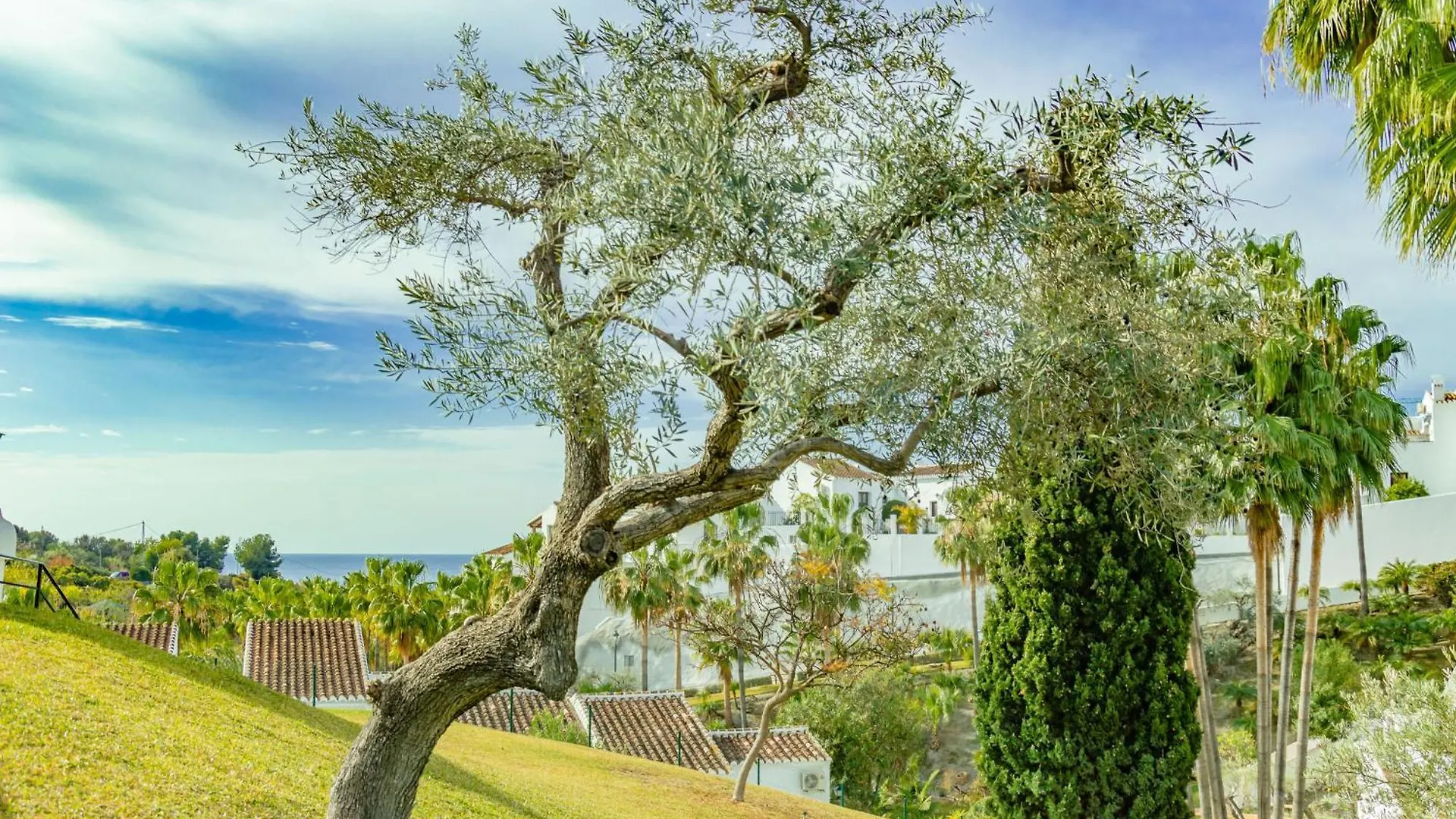 Las Palmas 20C - Oasis Properties Nerja 0*,  Spanyolország